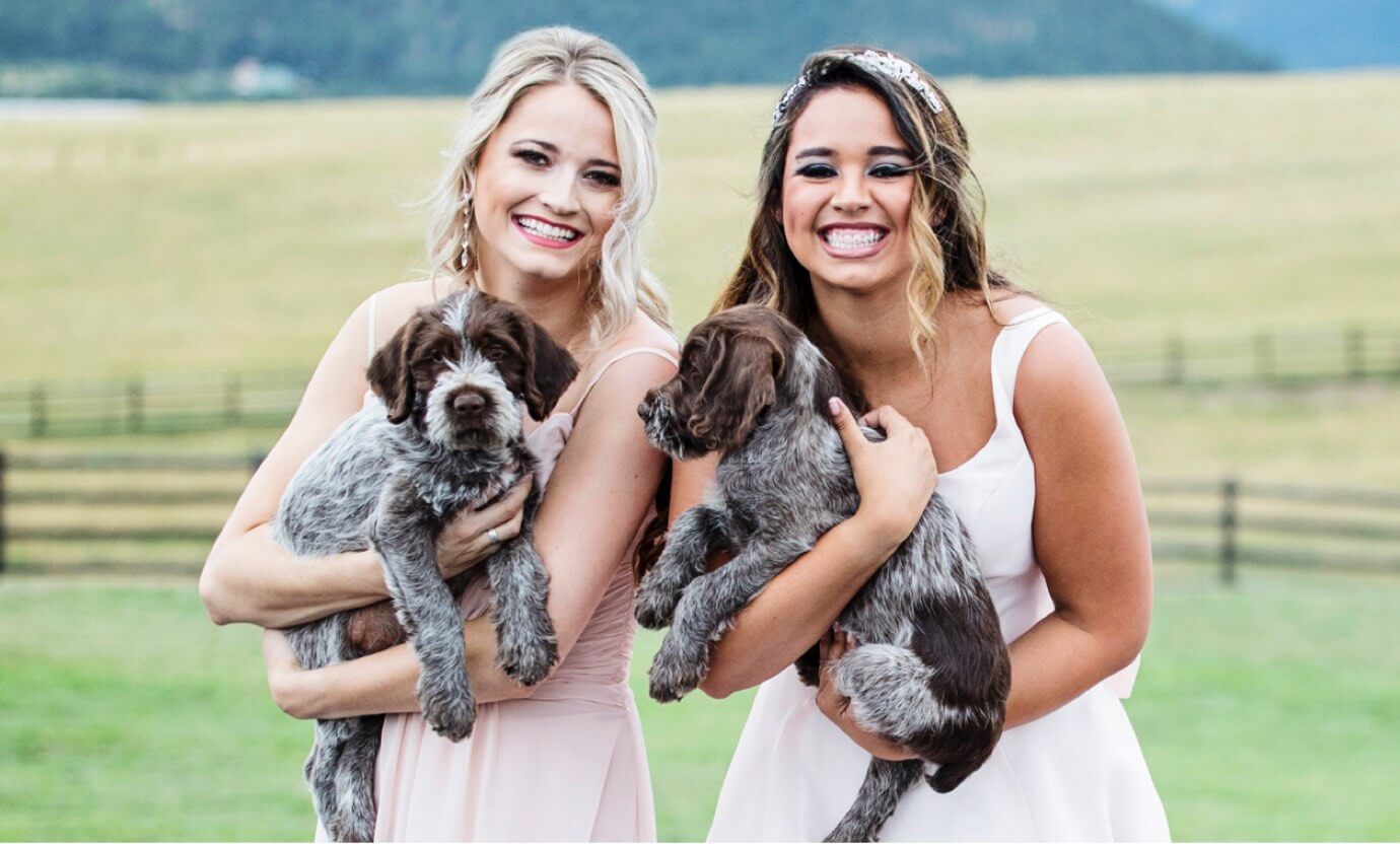 Bridesmaids in light pink dresses holding puppies