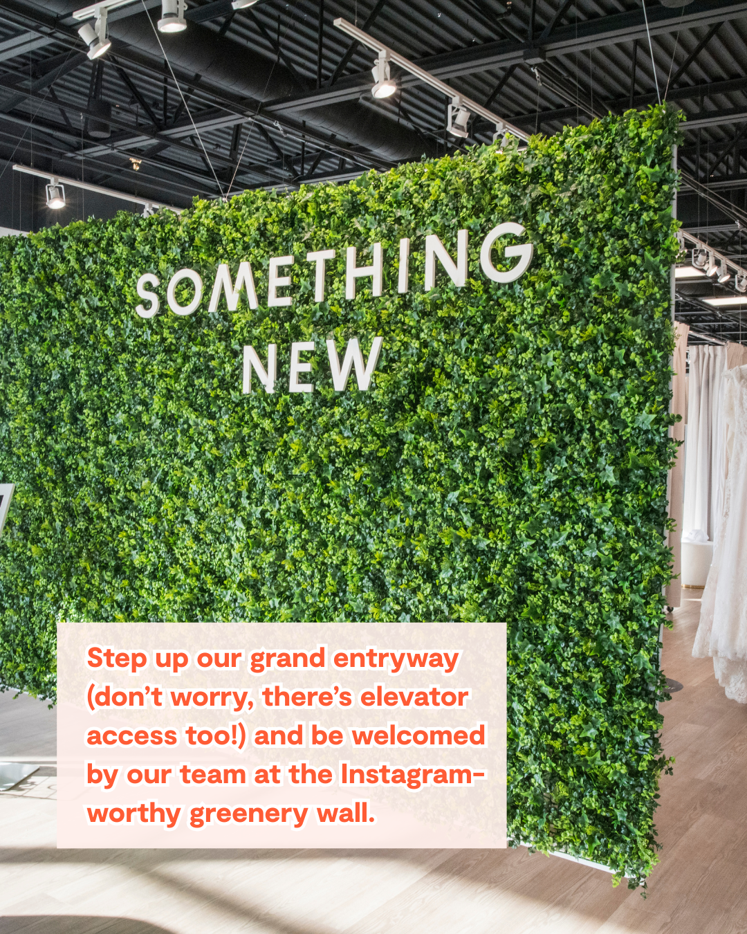 Gallery Image #slidesGrid1